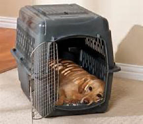 PlasticvCrate